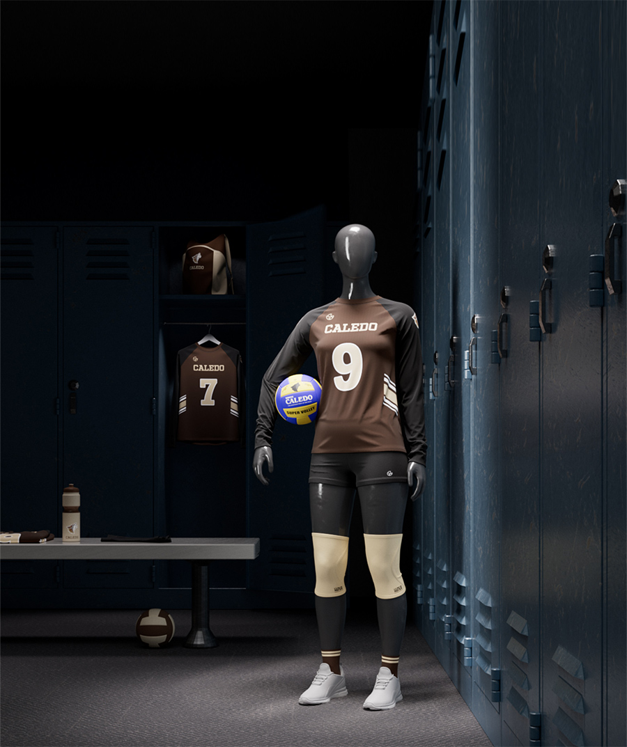Volleyball